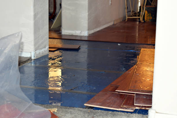 Professional Burst Pipe Cleanup technician working in Georgetown, IL