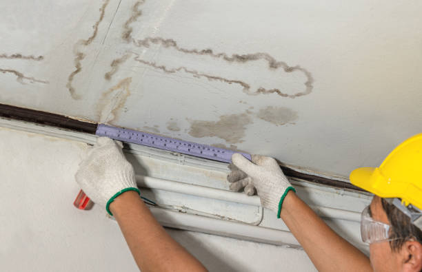 Reliable Burst Pipe Cleanup contractor in Georgetown, IL by Local Water Damage Repair
